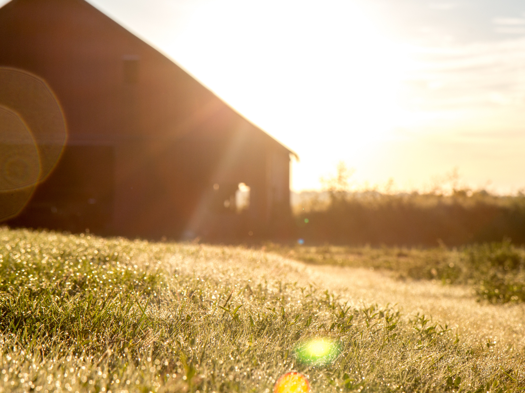 Barn